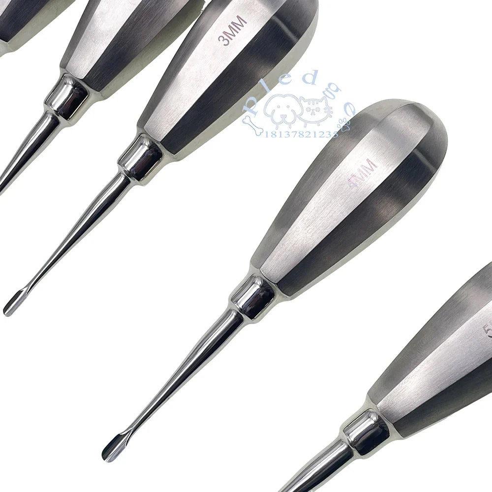 Pet Dog Cat Short Handle Dental Elevator - MyPetDollar.com
