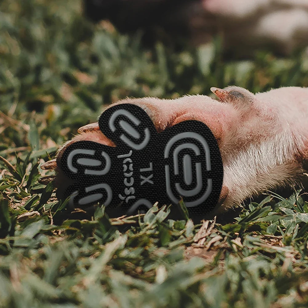 Dog Anti-slip Foot Patch Paw Pads Dog Paw - MyPetDollar.com