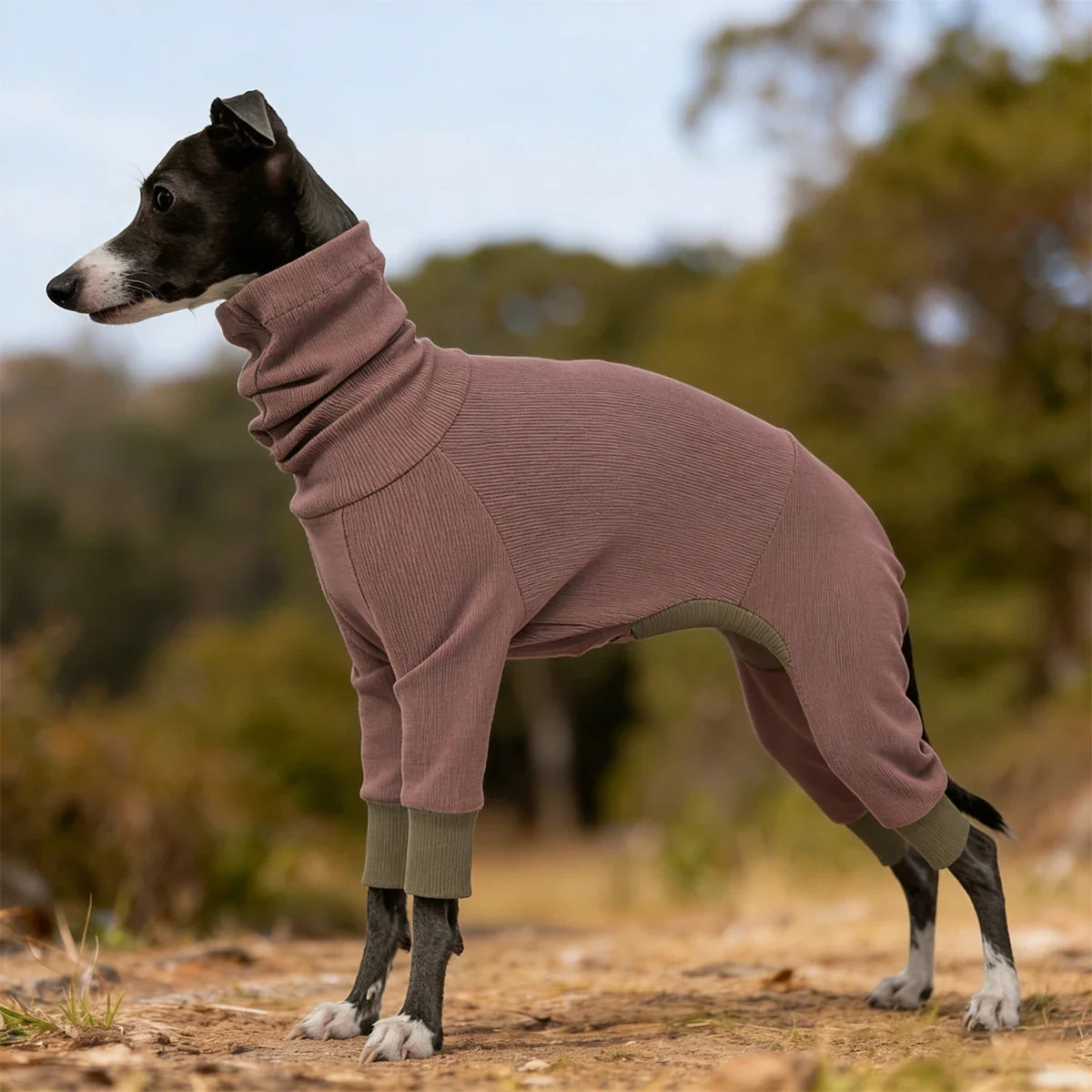Turtleneck Dog Jumpsuit Soft Ribbed Knit Dog - MyPetDollar.com