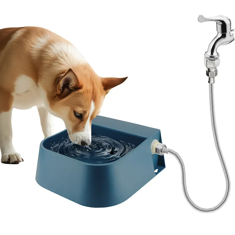 Dog Automatic Water Bowl Dispenser with 1.5m - MyPetDollar.com
