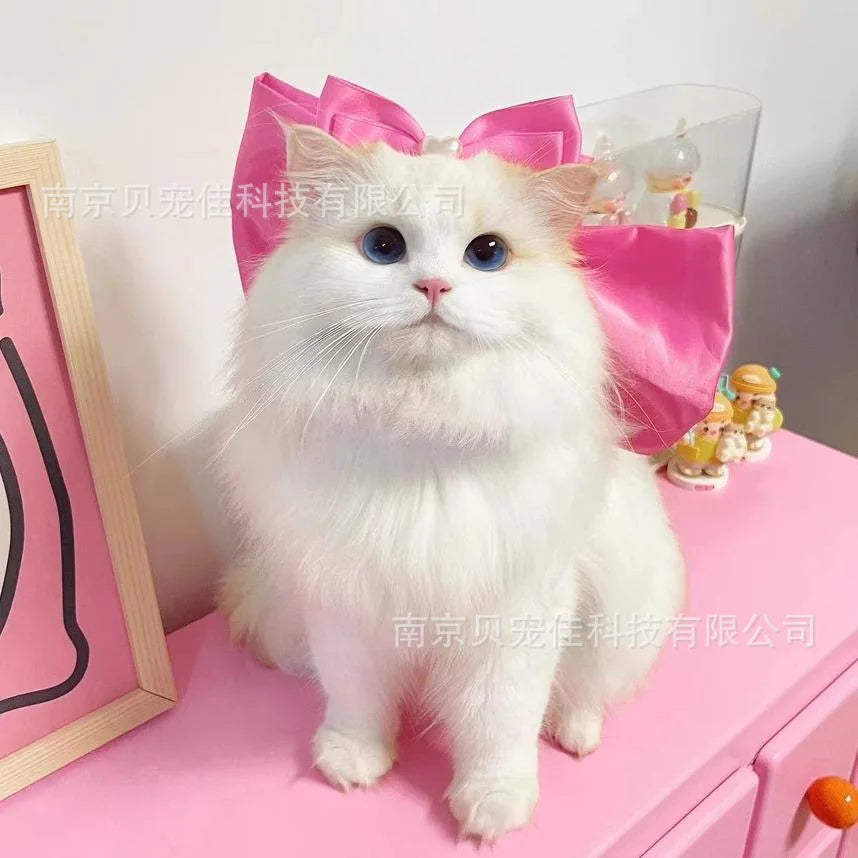 Mary Cat Bow Tie Pet Collar Scarf Cat - MyPetDollar.com