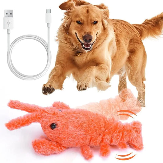 USB Charging Lobster Cats Toy Dancing Moving - MyPetDollar.com