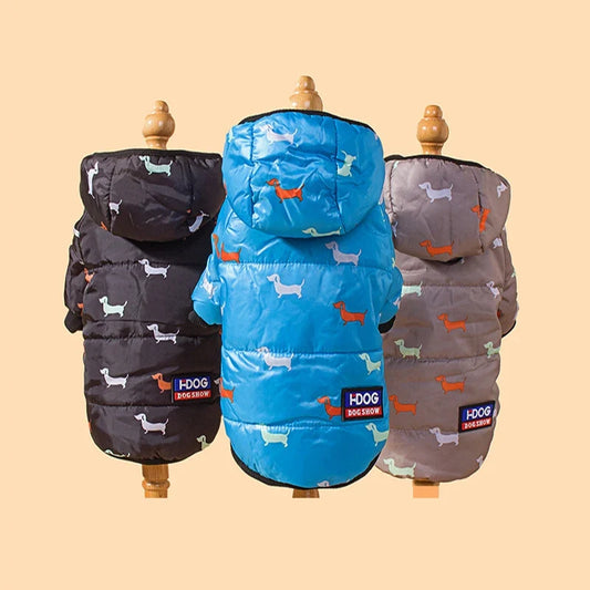 New hot pet clothing two feet hooded - MyPetDollar.com