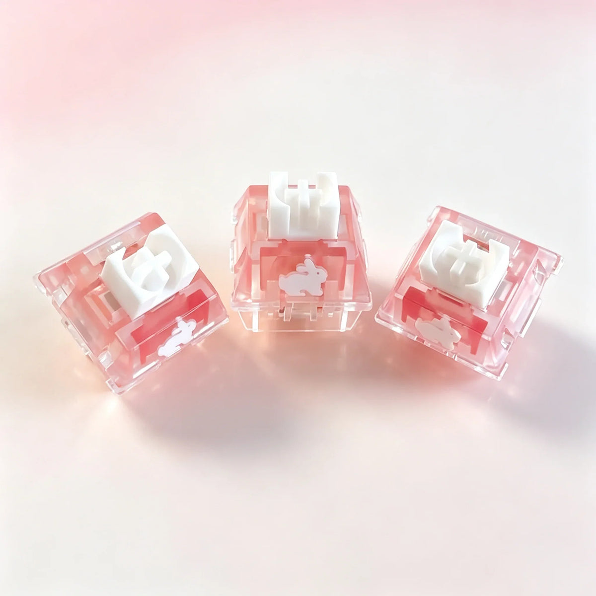 TTC Rabbit Silent Switch RGB Version - MyPetDollar.com