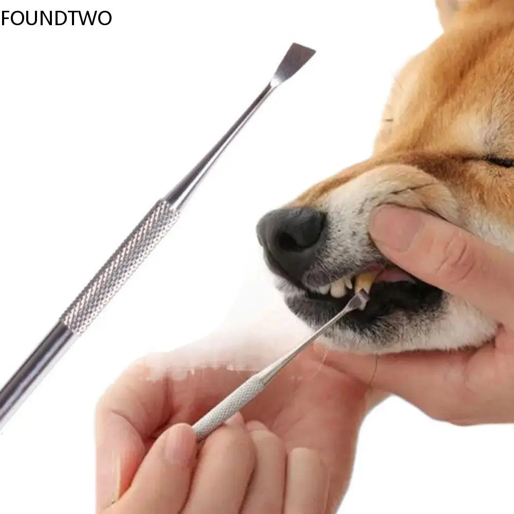 Pet Teeth Cleaning Tool Stainless Steel - MyPetDollar.com