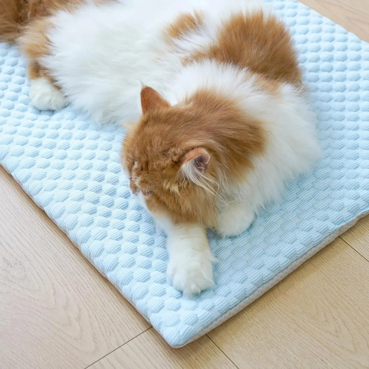 Cooling Pet Mat Thick Ice Silk Summer Dog - MyPetDollar.com