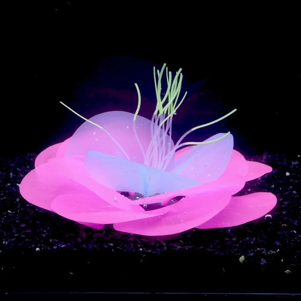 Aquarium Fish Tank Decorations with - MyPetDollar.com