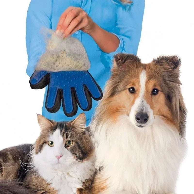 Cat grooming glove for cats wool Pet Hair - MyPetDollar.com