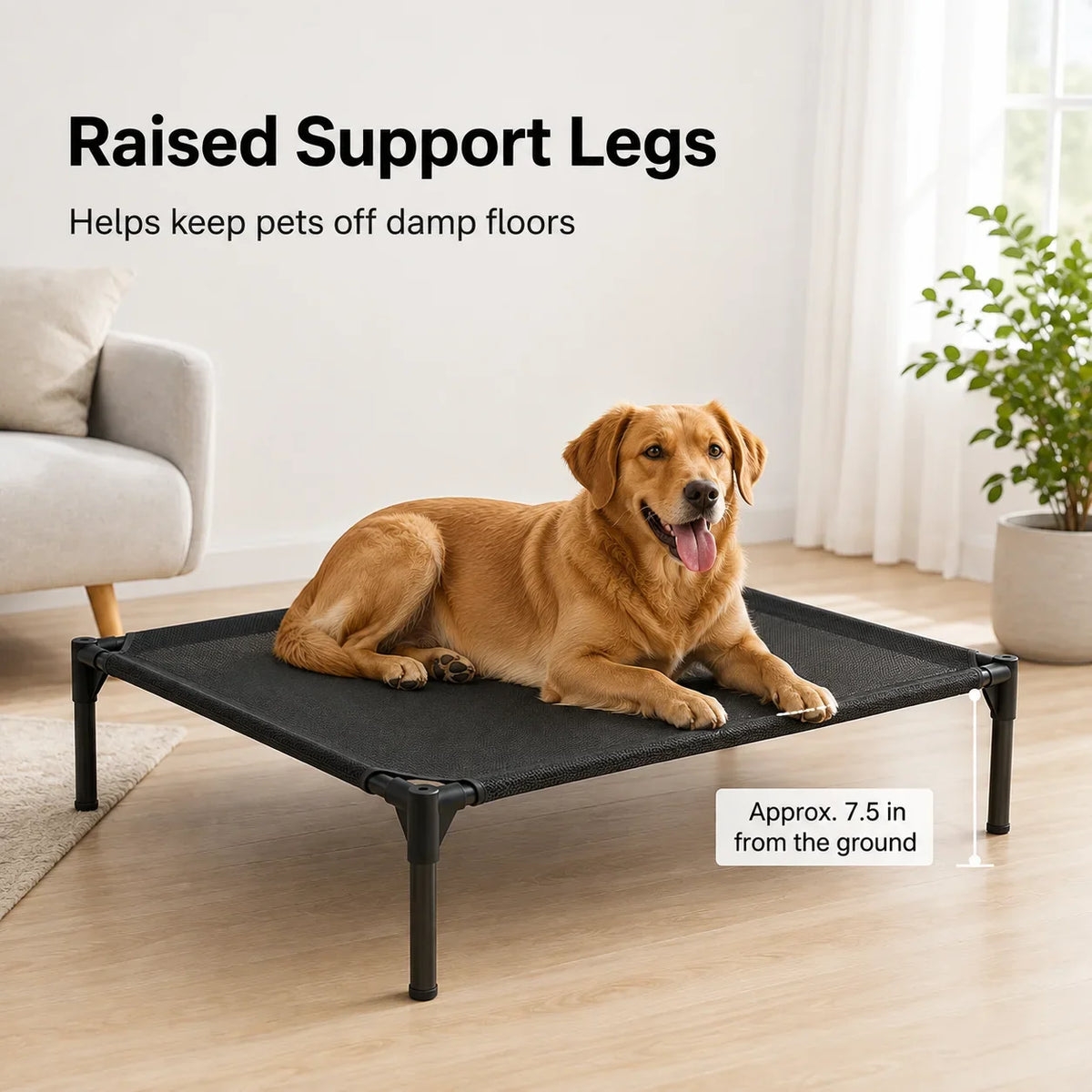 Elevated Pet Bed Raised Dog Cot Breathable - MyPetDollar.com