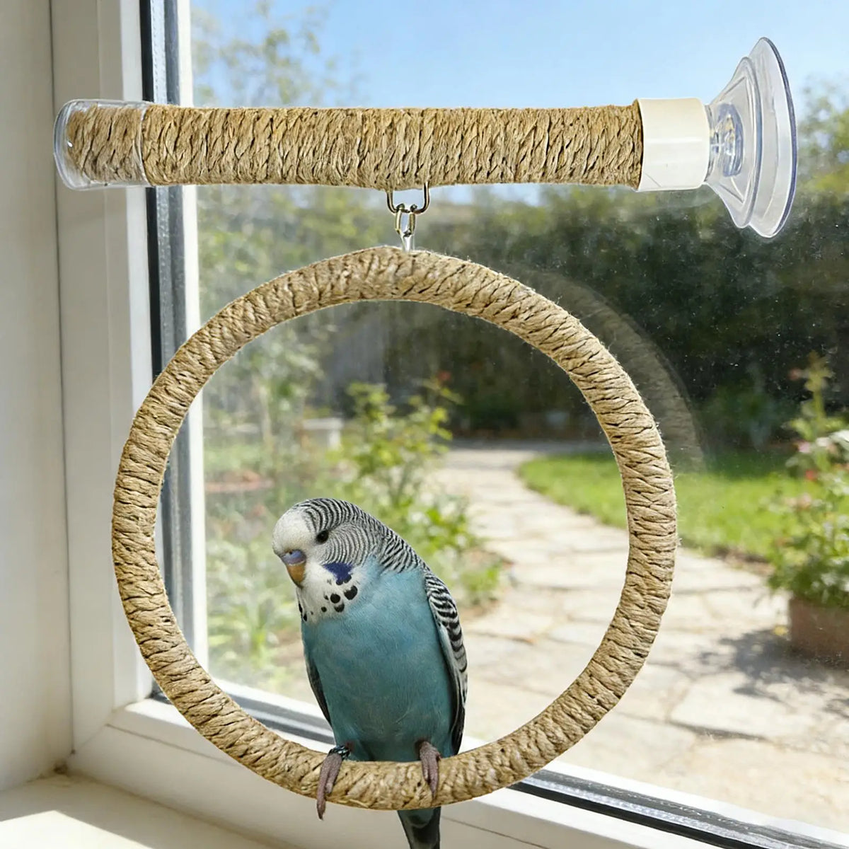 Suction Cup Bird Toy Swing Set Linen Rope - MyPetDollar.com