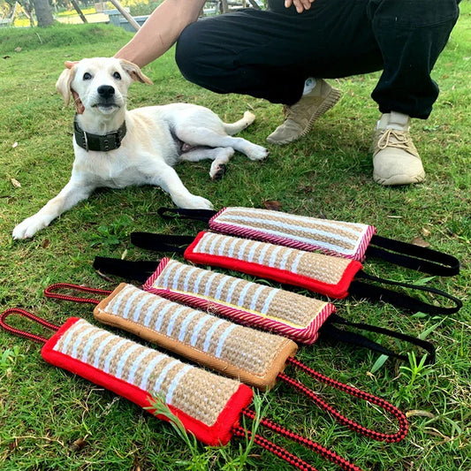 Durable Dog Training Tug of War Interactive - MyPetDollar.com