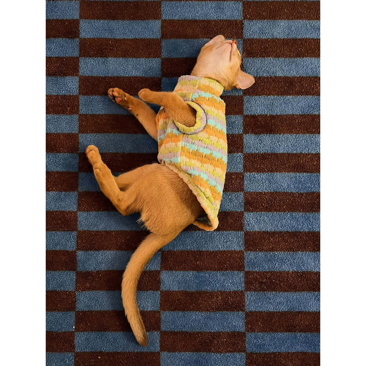 Thickened Warm Striped Sweater Vest Two Legs - MyPetDollar.com