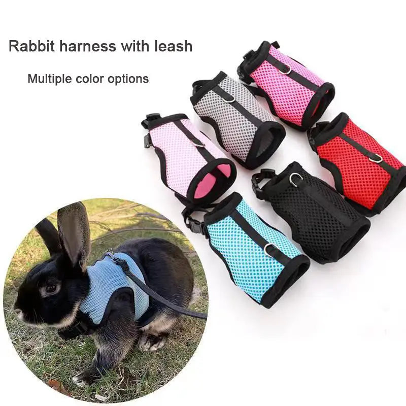 Harness with Leash Set for Rabbits - MyPetDollar.com