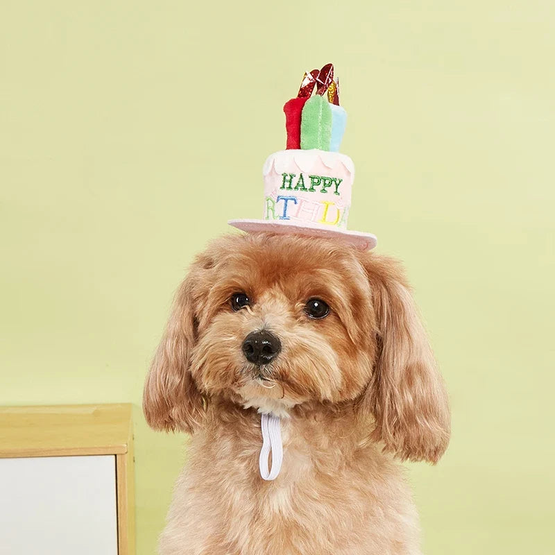 Booteely Pet Dog Hat for Birthday Party - MyPetDollar.com