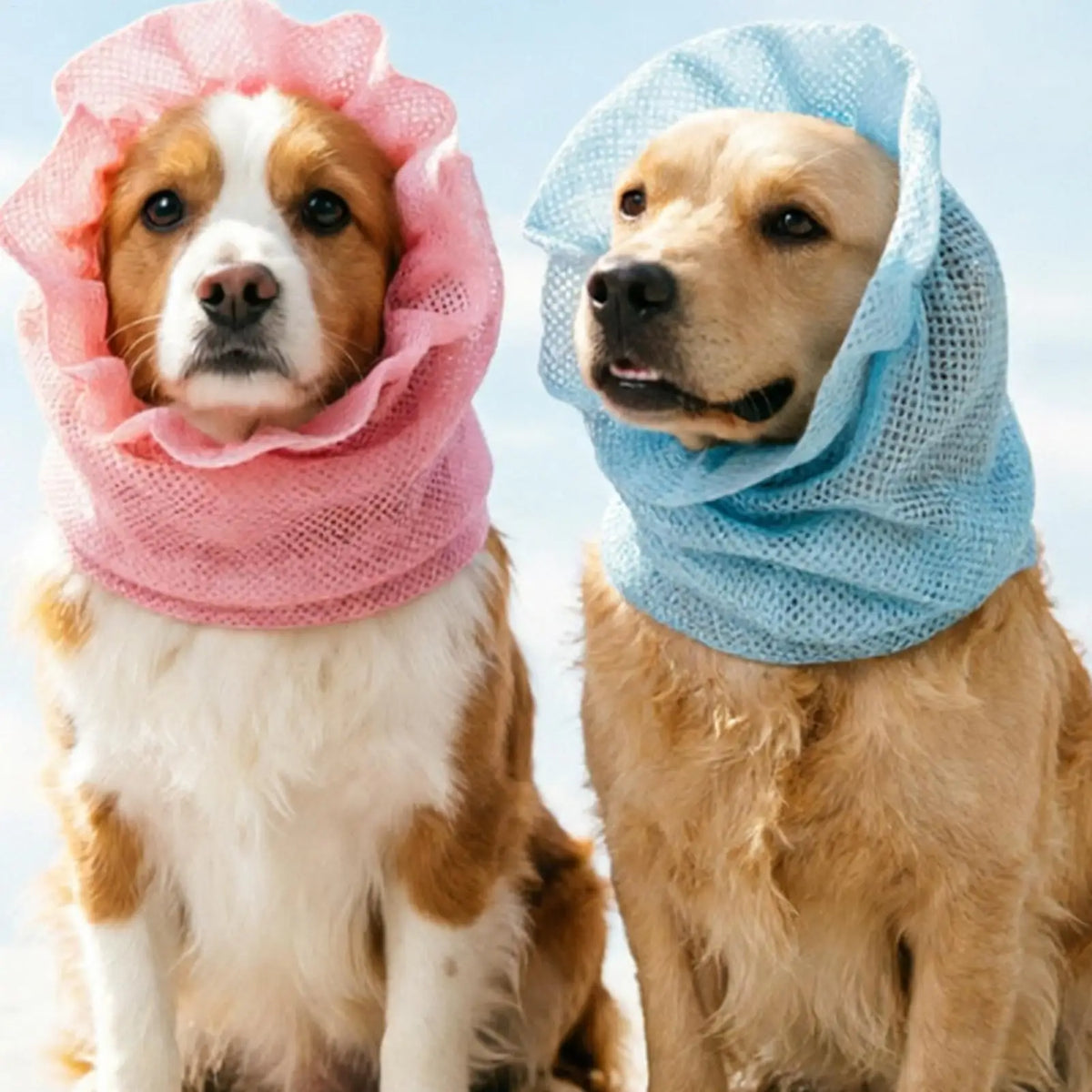 Dog Ear Wrap Breathable Mesh Protector Anti - MyPetDollar.com