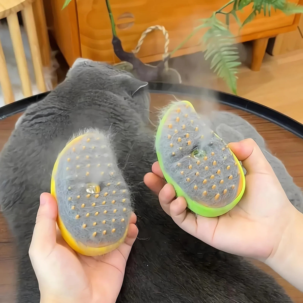 Electric Steamy Brush for Cat and Dog, Steam - MyPetDollar.com