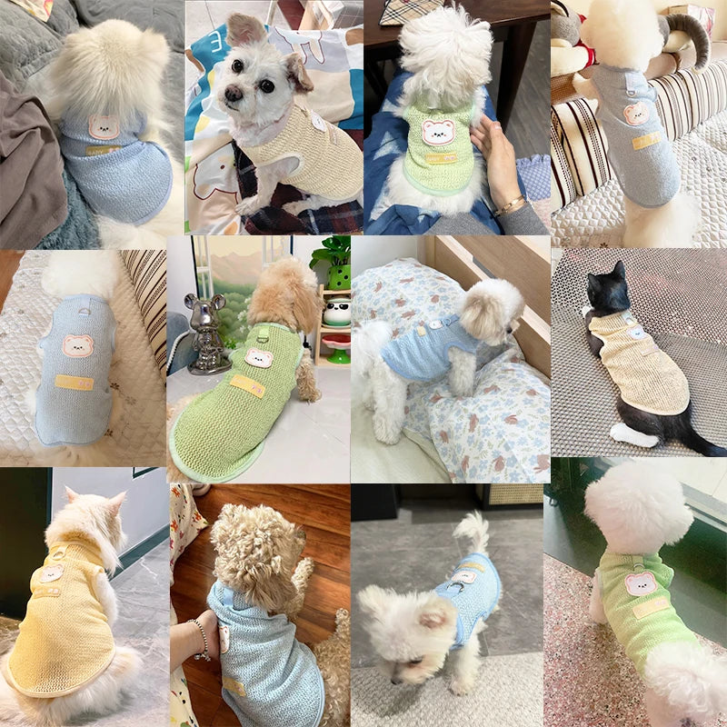 Summer Dog Clothes Bear Print Dog Vest - MyPetDollar.com