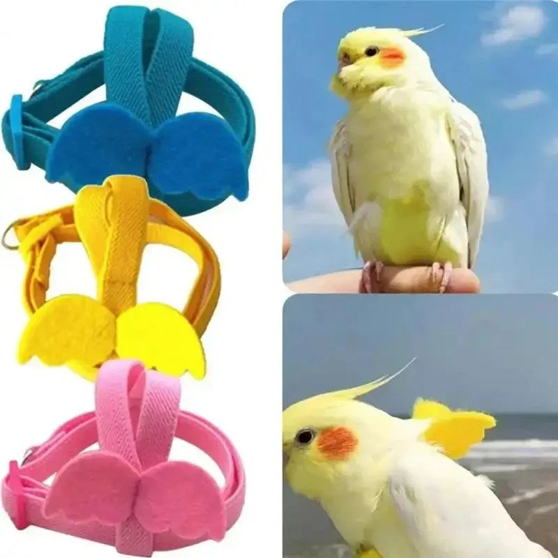 Birds Supplies Parrot Bird Harness Leash Set - MyPetDollar.com