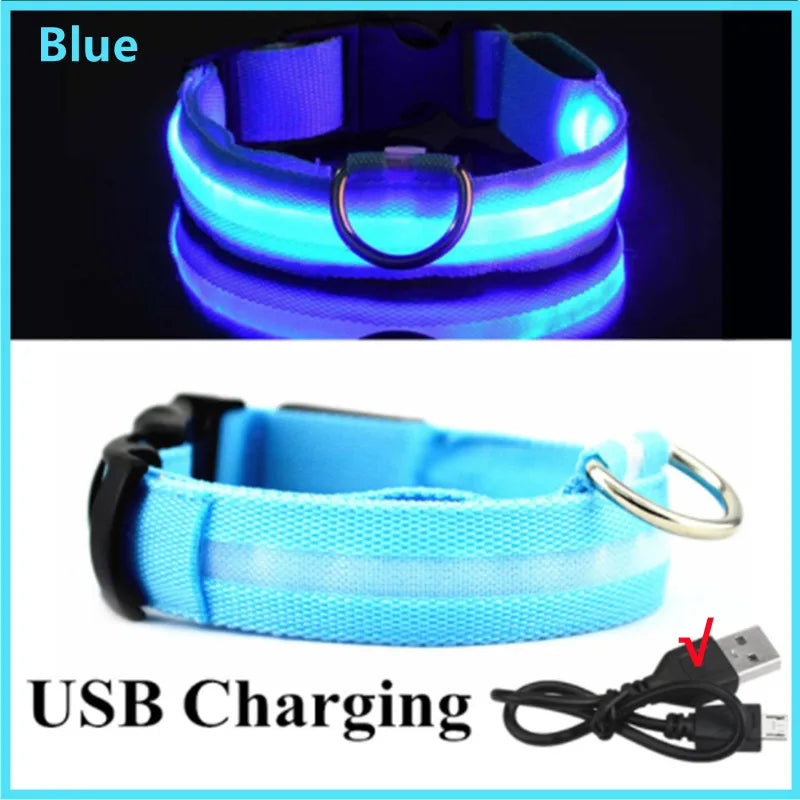 USB Rechargeable Luminous Collar Adjustable - MyPetDollar.com