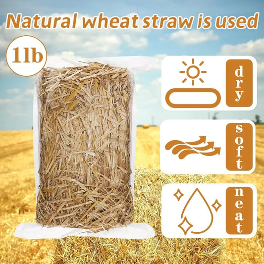 1LB Natural Wheat Straw Dry Mulch for Garden - MyPetDollar.com
