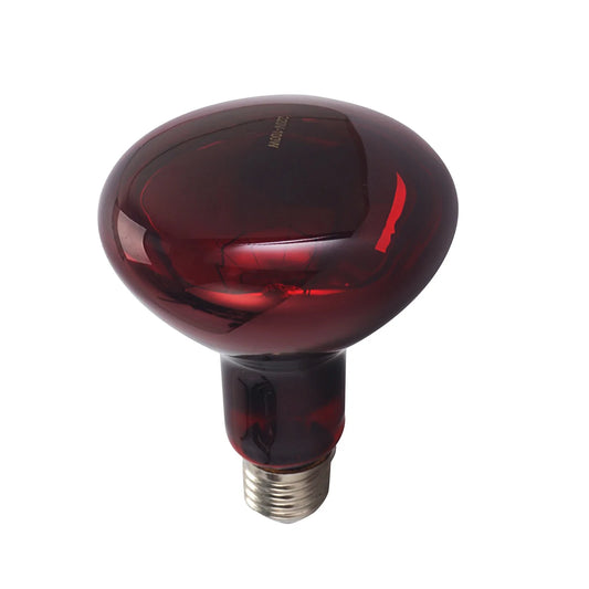 E27 Reptile Heating Bulb Warmer Heat Lamp – Cooling, Warming & Seasonal