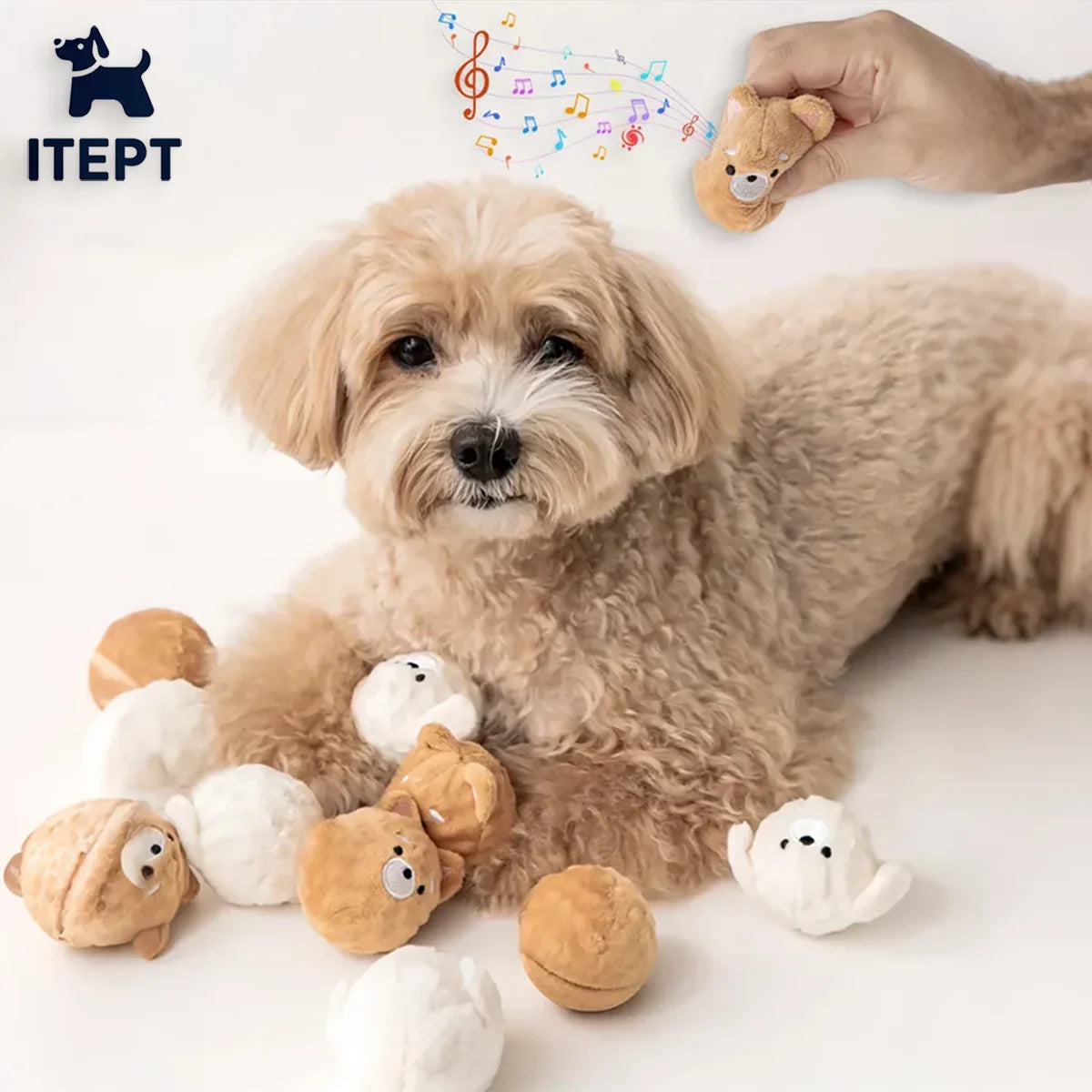 Squeaky Puppy Ball Toy - Spiked Bouncing - MyPetDollar.com