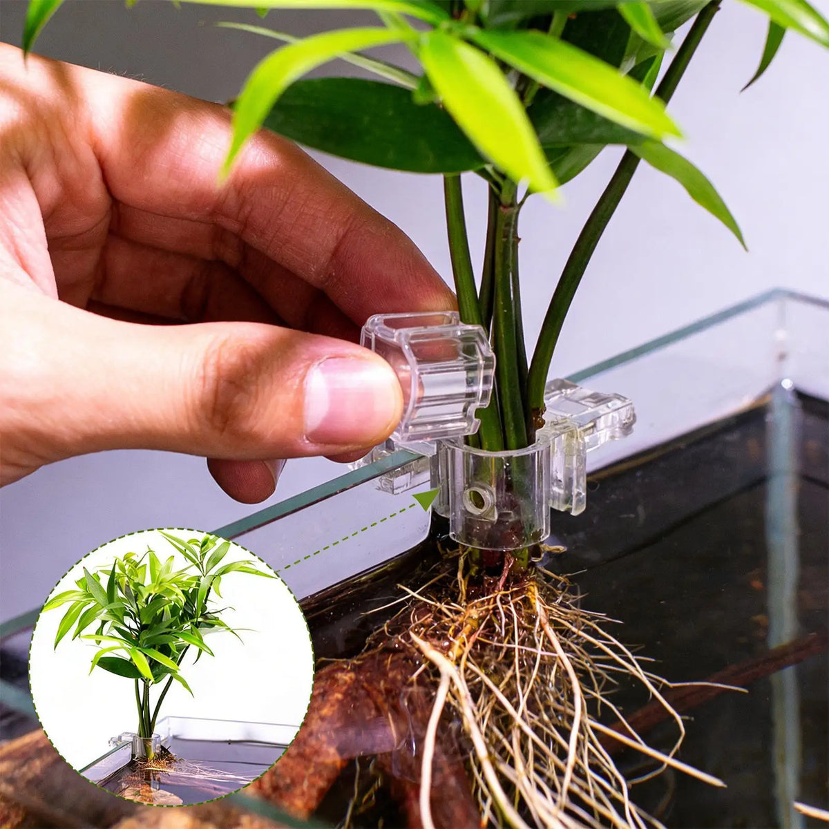 Fish Tank Plant Holder 6 Pieces Clear - MyPetDollar.com