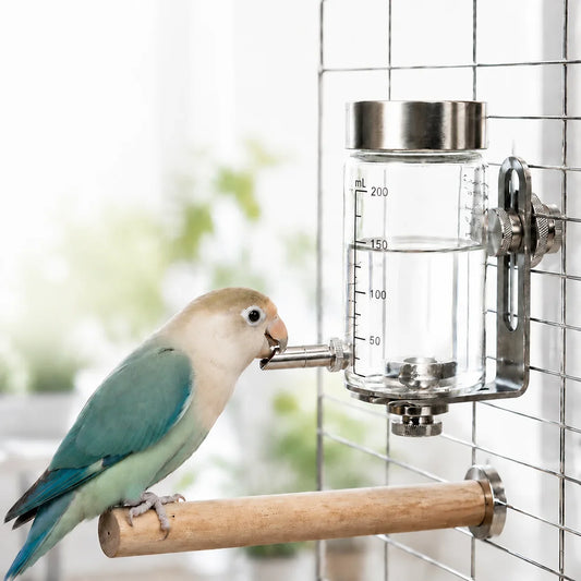 Magnetic Bird Water Dispenser Stainless - MyPetDollar.com