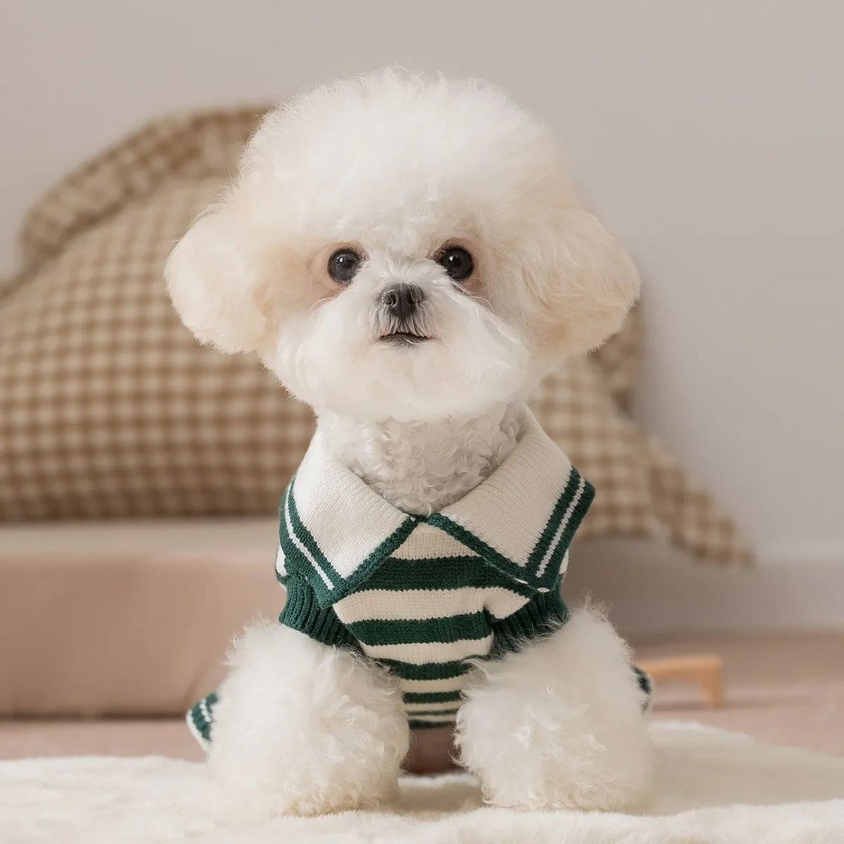 2025 Princess-Style Pet Fleece Dress Teddy - MyPetDollar.com