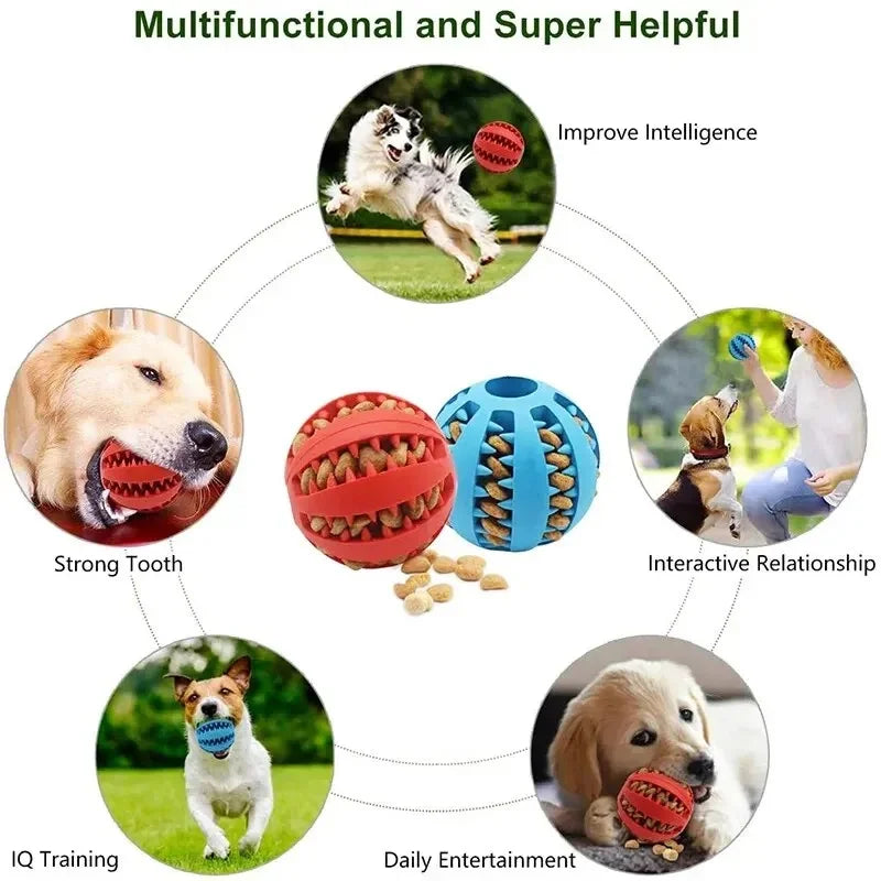 1/2Pcs Dog Toy Ball, Nontoxic Bite Resistant - MyPetDollar.com