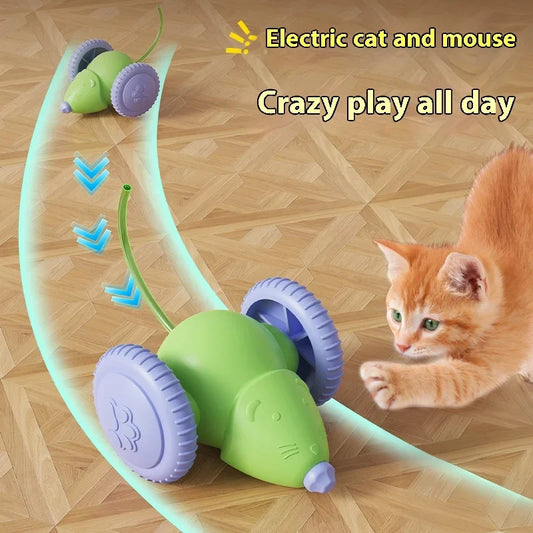 Electric Mouse Car Pet Toys Interactive Cat - MyPetDollar.com