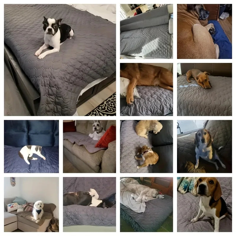 Double-Sided Waterproof Dog Bed Cover Pet - MyPetDollar.com