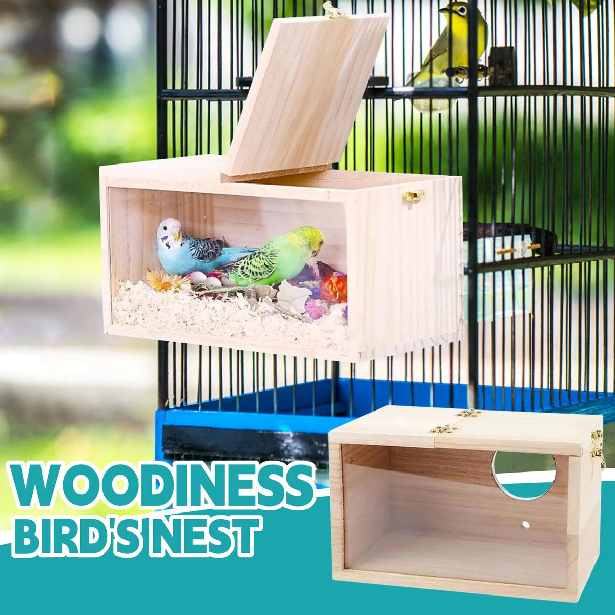 Transparent Design Parakeet Cockatiel Bird - MyPetDollar.com