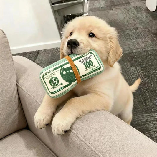 Interactive 1 Money-shaped Non-biting Durable Ringing Toy
