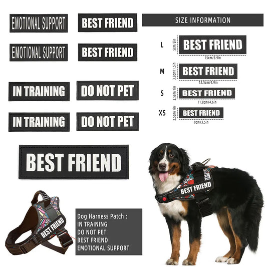 2PCS Custom Logo Dog Name Personalized Dog - MyPetDollar.com
