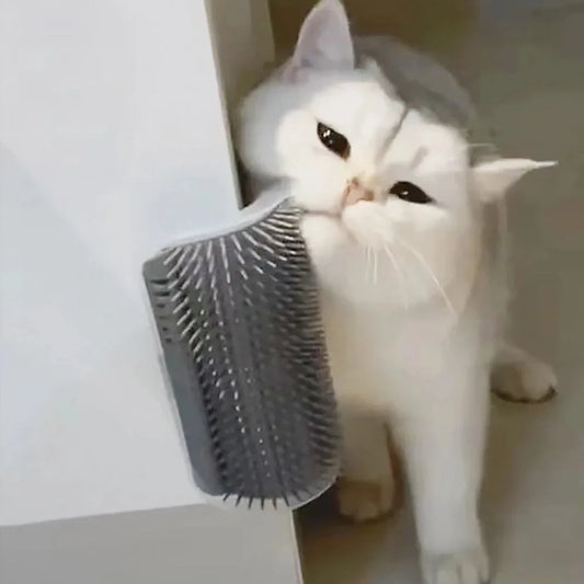 Pet Brush Comb Play Cat Toy Softer Cat Self - MyPetDollar.com