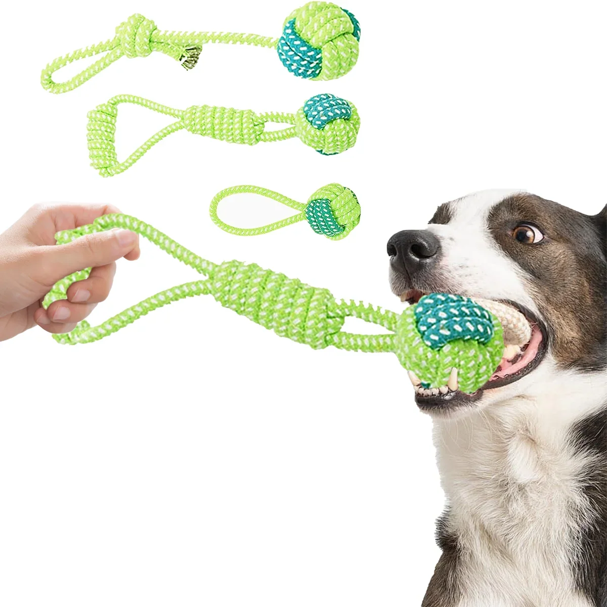 Heavy Duty Rope Toy for Power Chewers | - MyPetDollar.com