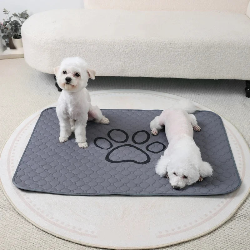 Pet Absorbent Diaper Mat Waterproof and Anti - MyPetDollar.com