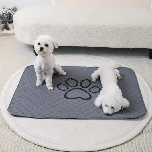Pet Absorbent Diaper Mat Waterproof and Anti - MyPetDollar.com