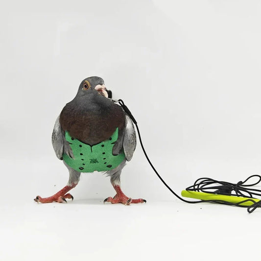 Bird Pet Product Parrot Pigeon Harness and - MyPetDollar.com