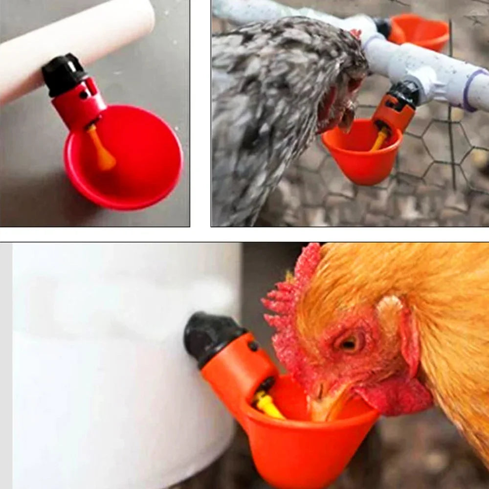 Farm Automatic Quail Drinker Plastic Chicken - MyPetDollar.com