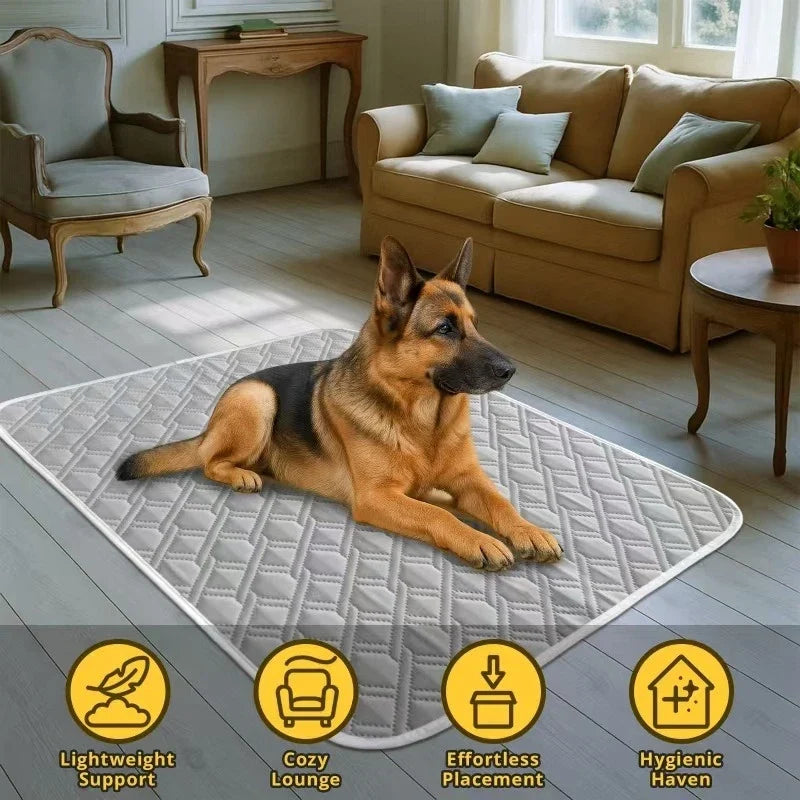 Summer Dog Cooling Mat Pet Cold Bed Extra - MyPetDollar.com