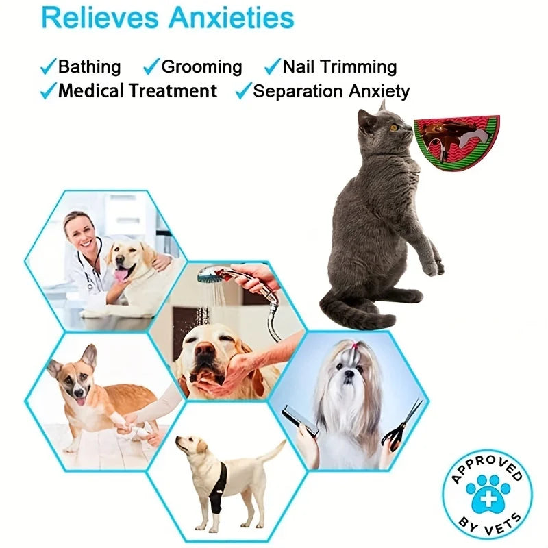 Suitable for Pets Weighing Less Than 3 - MyPetDollar.com