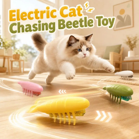 Durable Interactive Play Electric Cat Chasing Beetle Toy (6 colors)