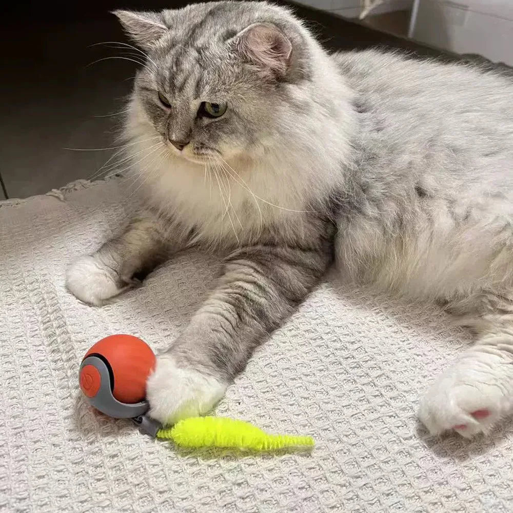 Speedy Tail 2.0 Cat Toys, Smart Interactive - MyPetDollar.com