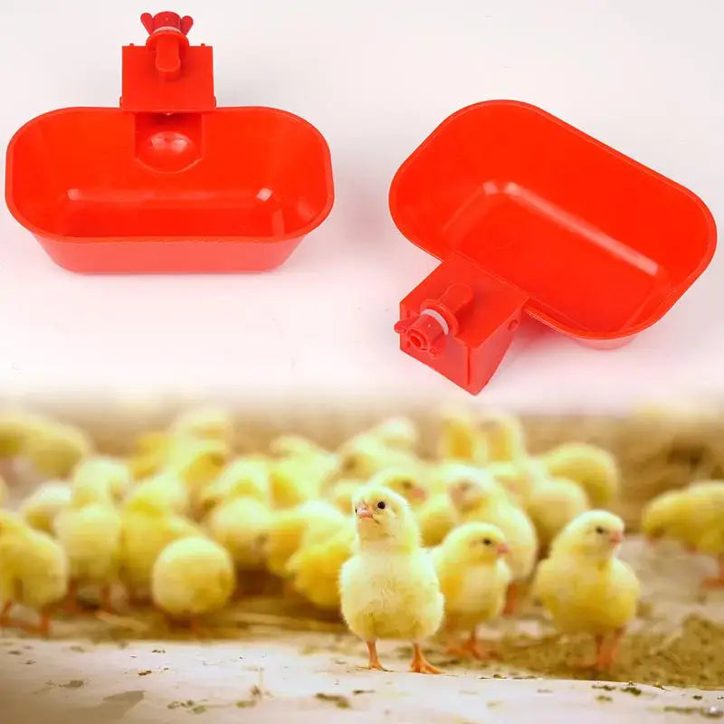 5/10Pcs Automatic Poultry Drinking Bowls - MyPetDollar.com