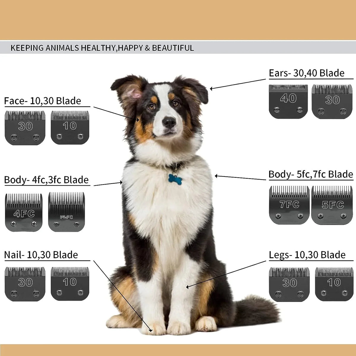 Black Detachable Pet Dog Grooming Clipper - MyPetDollar.com