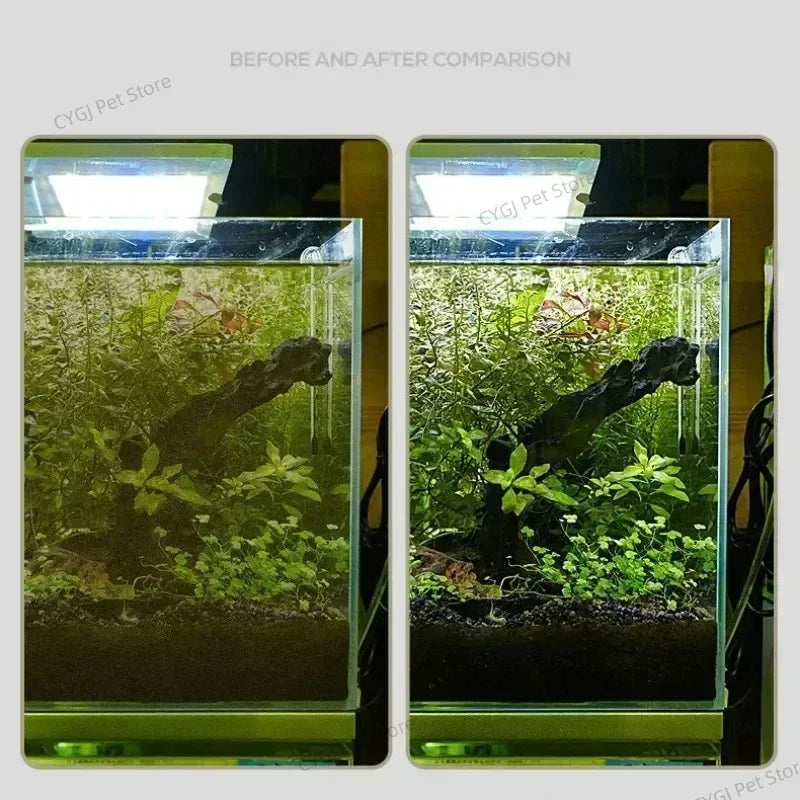 Fish Tank Cleaning Tool Flat Sand Algae - MyPetDollar.com