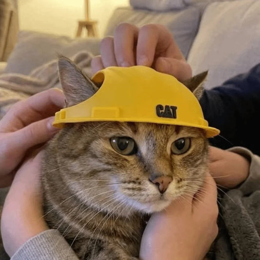 3D Printing Pet Safety Helmet Sun Protection - MyPetDollar.com