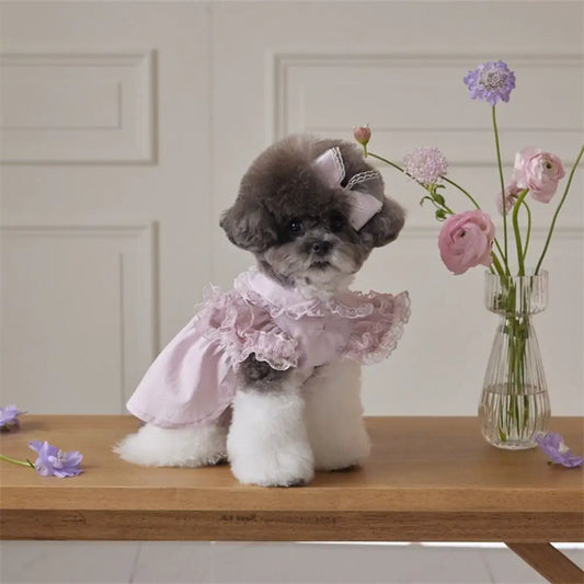Comfortable Lace Ruffle Dog Princess Dress - MyPetDollar.com